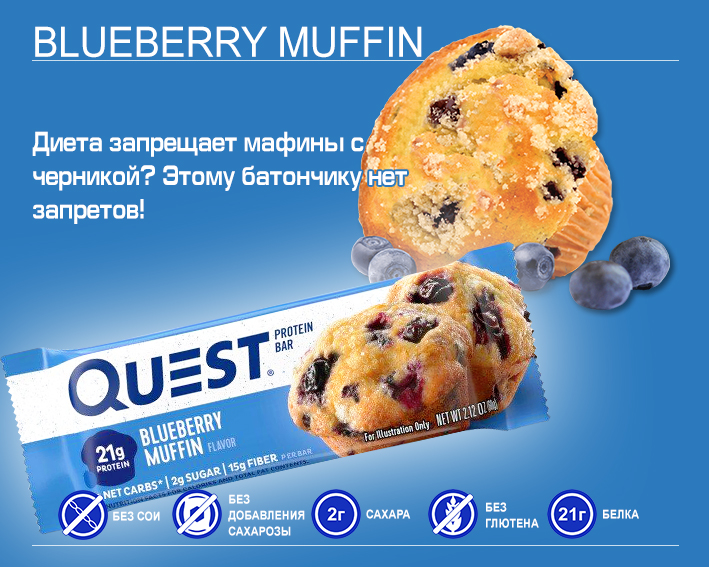 Quest Bar Blueberry Muffin