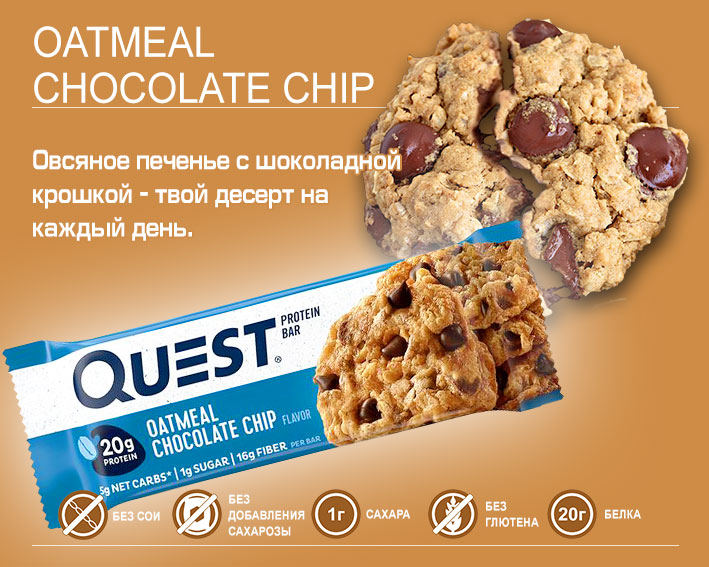 Quest Bar Oatmeal Chocolate Chip